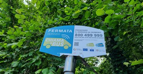 Bus Gratis A Chiamata Si Estende Il Servizio Sperimentale Di Amt