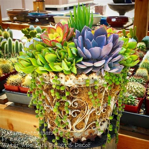 Nice Succulent Arrangement In A Vintage Wrought Iron Container By Megan