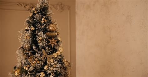 A Christmas Tree with Golden Ornaments · Free Stock Photo