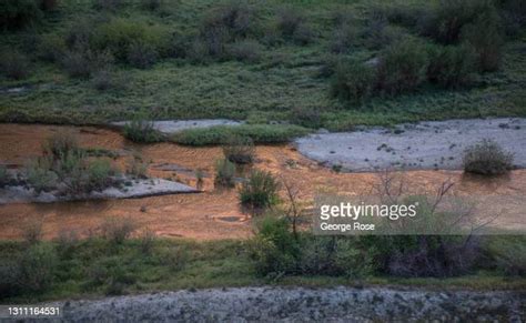 San Luis Rey River Photos And Premium High Res Pictures Getty Images