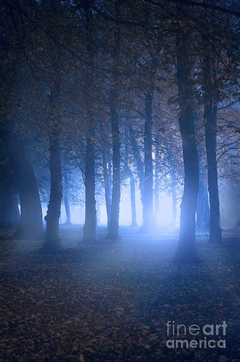 Eerie Woodland Scene At Nigh Time In Fog Photograph By Lee Avison