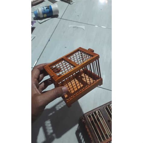 Jual Kandang Untul Burung Konin Sogon Pleci Betina Bahan Kayu Sangkar