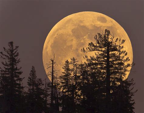 Cu Ndo Ver Las Lunas De Octubre Las M S Hermosas Del A O