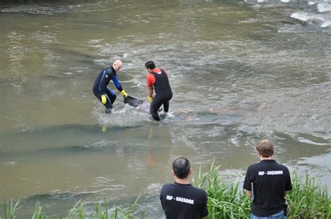 Rio Do Peixe Corpo Encontrado Por Populares Portal Ca Ador Online