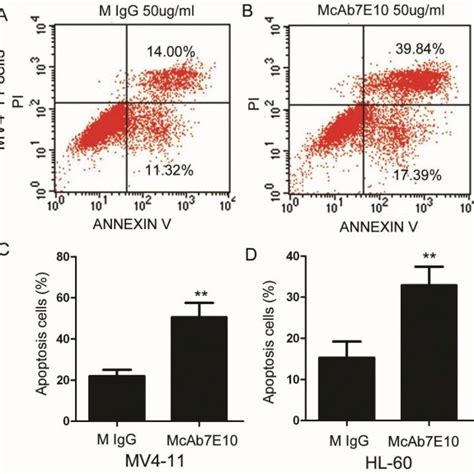 Mcab E Induces Apoptosis In Aml Cell Lines A B Annexin V Staining