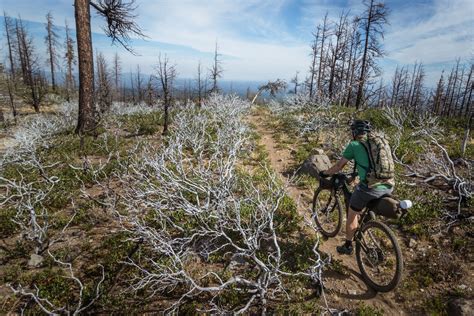 Oregon Timber Trail - BIKEPACKING.com