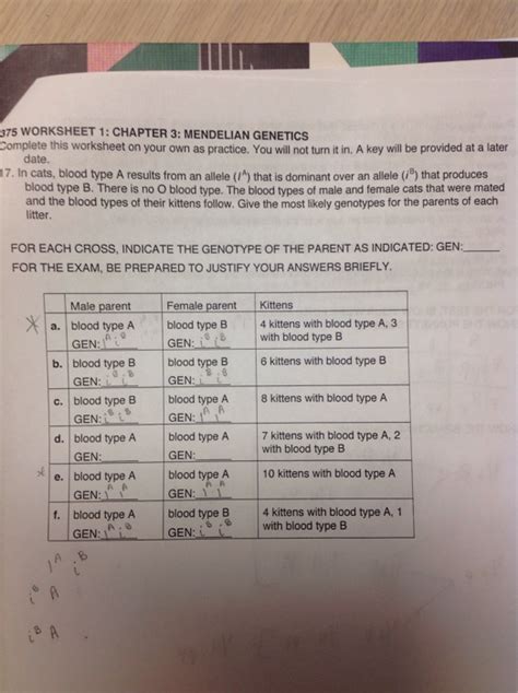 Simple Genetics Practice - Monohybrid Crosses - Worksheets Library