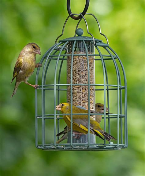 Original Compact Seed Feeder from Living with Birds