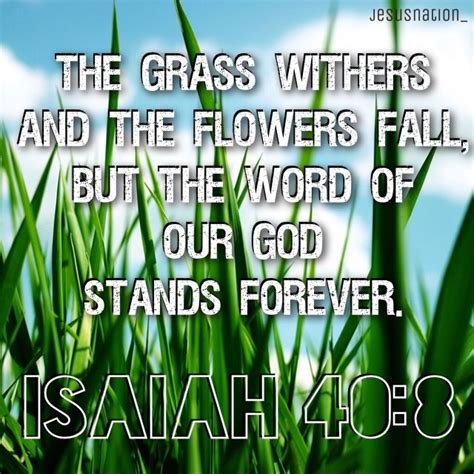 The Grass Withers And The Flowers Fall But The Word Of Our God Stands