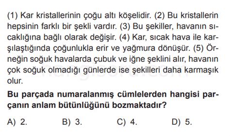 5 Sınıf Türkçe Parçada Anlam Testi Çöz 3 Test Çöz