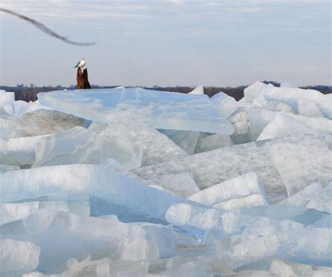 Jamming With An Ice Jam On The Susquehanna River