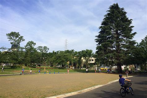 初心者ゆねばのnora Itレポート〜美しが丘公園編〜 野良 It