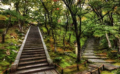 Two Paths Through The Tangled Japanese Forest Concrete Staircase Asia