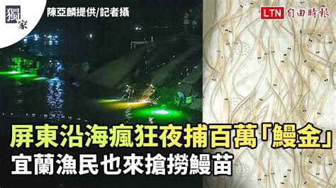 獨家》屏東沿海瘋狂夜捕百萬「鰻金」 宜蘭漁民也來搶撈鰻苗陳亞麟提供 Youtube