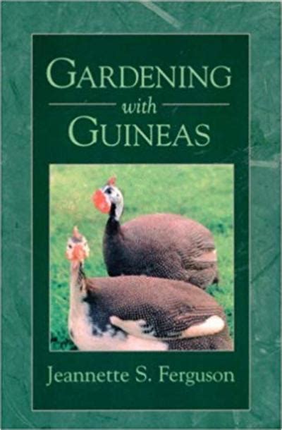 Gardening With Guineas A Step By Step Guide To Raising Guinea Fowl On