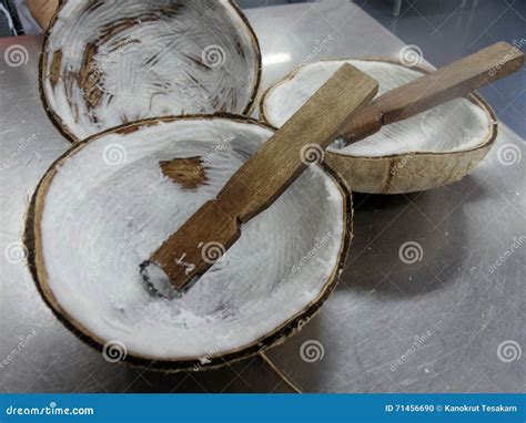 The Grater And Coconut Royalty-Free Stock Image | CartoonDealer.com #17598886