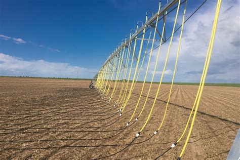 Drip Irrigation By Randk Pivot Irrigation Systems