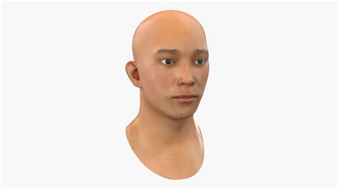 Male Heads Collection 2 3d Model 129 3ds Obj Max C4d Ma Free3d