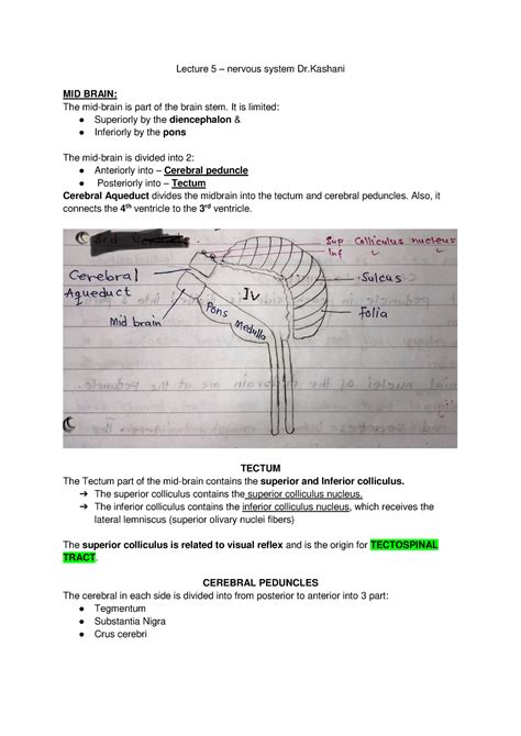 Ns Lecture Notes Of Dr Kashani Lectures On Neuroanatomy In