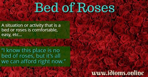 Bed Of Roses | Idioms Online