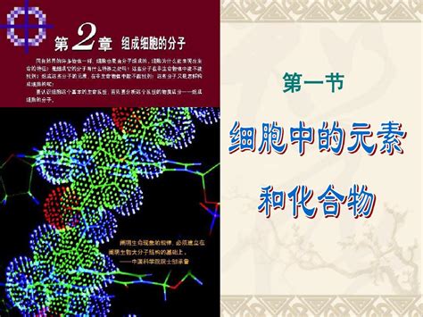 高中生物人教版必修一第2章第1节：《细胞中的元素和化合物》课件word文档在线阅读与下载无忧文档