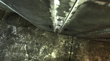 Fallout TV Show Anticipation Party Partial Fuck RNC Retexture For