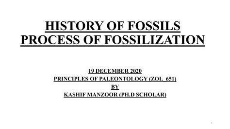 History Of Fossils Process Of Fossilization Ppt