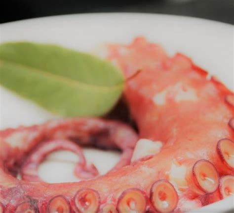 Como Guisar O Cocer Pulpo Con Thermomix Una Receta De Pescados Y