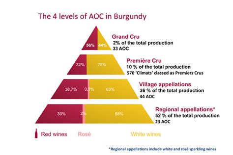 Grand Cru Wine: Classification by Region, 8 Best Bottles (2023)