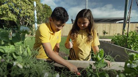 Communicating The Importance Of Public Health Tuskany Agency Tauranga