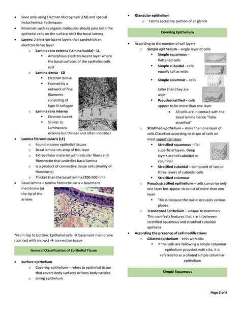 Solution Histology Epithelial Tissue Discussion And Study Guide