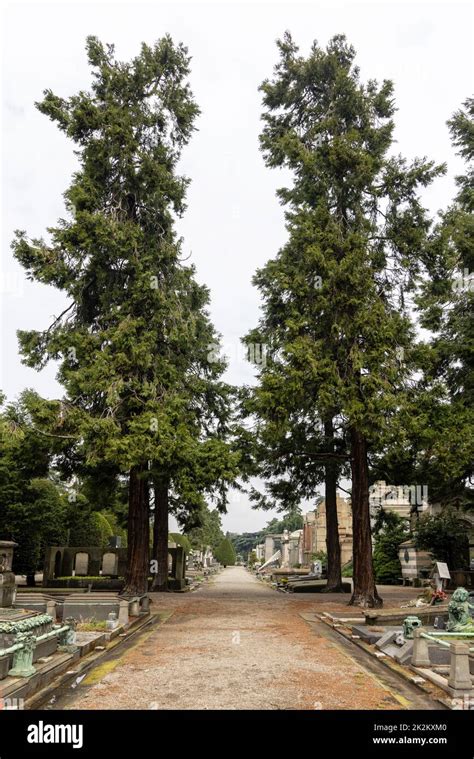 El Cementerio Monumental De Mil N Cimitero Monumentale Di Milano Es