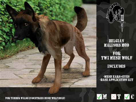 Second Life Marketplace Cmfl Twi Wolf Belgian Malinois Mod Boxed