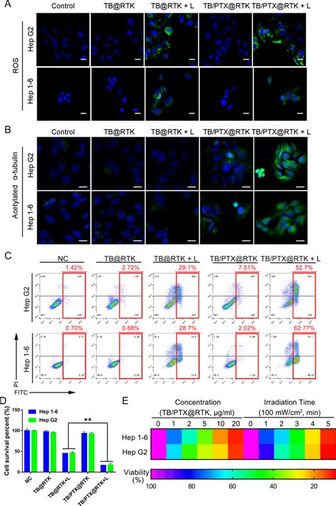 Ros Generation Intracellular Ptx Release And Synergistic Chemo Pdt In