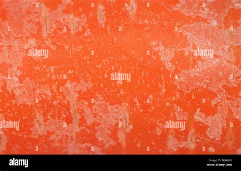 carrot abstract background macro texture Stock Photo - Alamy