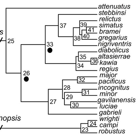 Plot Of Phylogenetic Independent Contrasts And Their Correlation Download Scientific Diagram