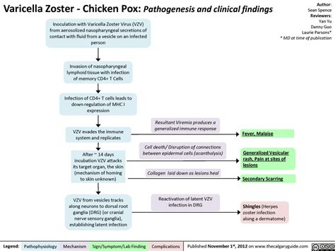 Varicella Zoster Chicken Pox Calgary Guide