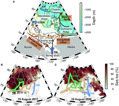 (A) Map of the Chukchi Sea. The surface circulation components are ...