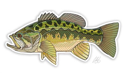 Casey Underwood Fish Decals The Fly Shop