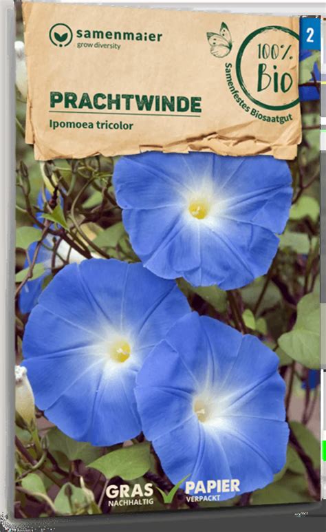 Samen Maier Bio Prachtwinde 1 Packung Bloomling Deutschland