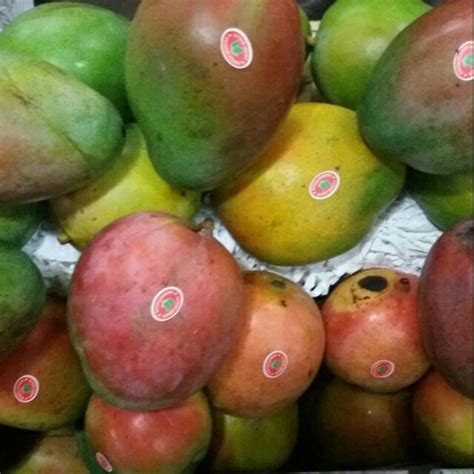 Jual Mangga Brazil Mangga Irwin Shopee Indonesia