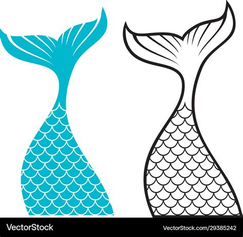 Mermaid tail design Royalty Free Vector Image - VectorStock