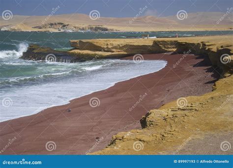 Paracas Bay, Peru Stock Photo | CartoonDealer.com #12257526