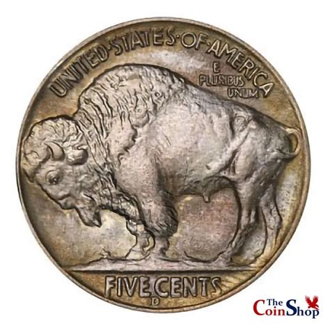 1937-D Buffalo Nickel | The Coin Shop Grade Average Circulated