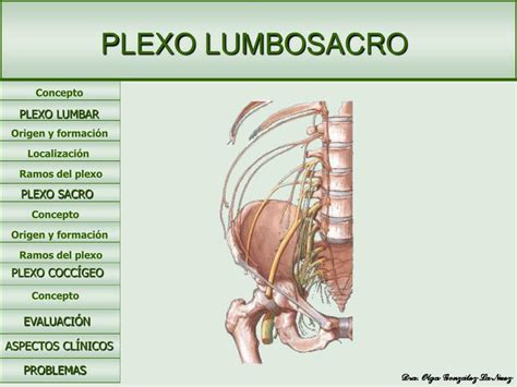 Resúmenes de Lumbosacro Descarga apuntes de Lumbosacro