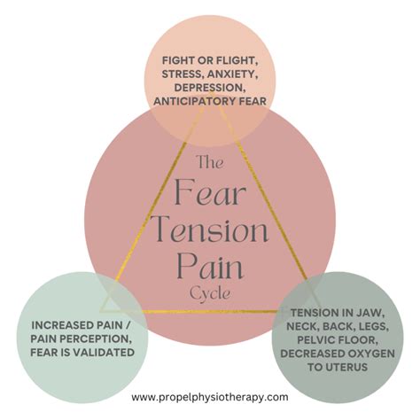 Dyspareunia Treatment Painful Intercourse Propel Physiotherapy