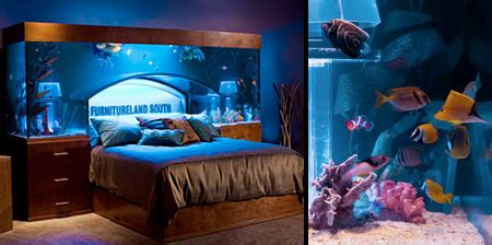 Aquarium Bed