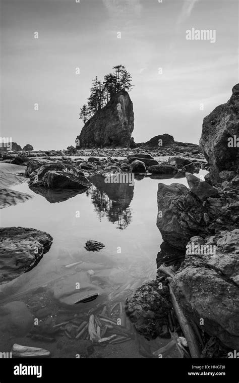 Sea Stack In Sunset Time Scenic View Of Second Beach In Mt Olympic