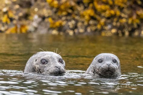 Haida Gwaii | Jens Preshaw Photography