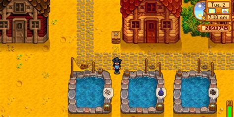 Stardew Valley: Complete Guide To Fish Ponds